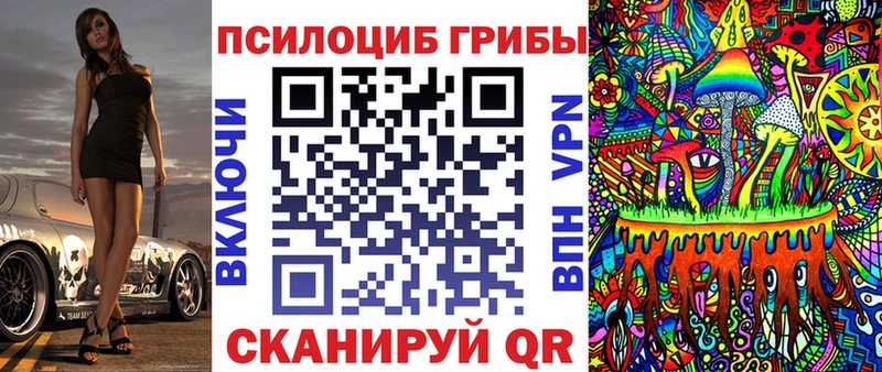 МЕГА ТОР  Баймак  Псилоцибиновые грибы MAGIC MUSHROOMS 